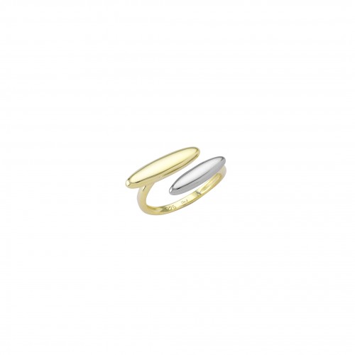 Two-Tone Ring