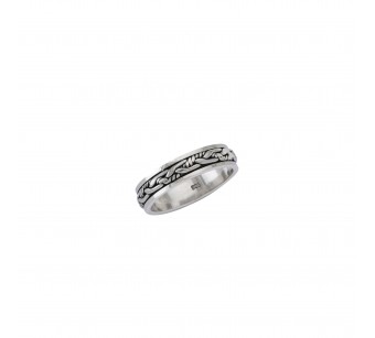 Spinning Two-Tone Ring