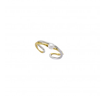 Two-Tone Ring