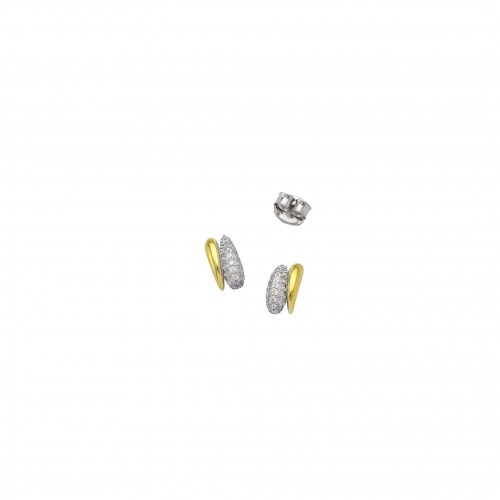 Two-Tone Earrings