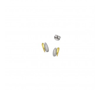Two-Tone Earrings