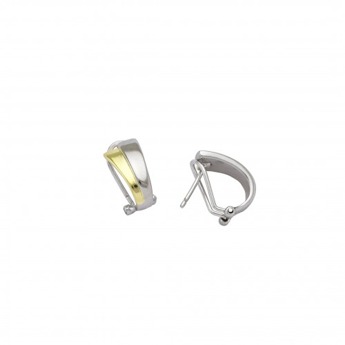 Two-Tone Earrings