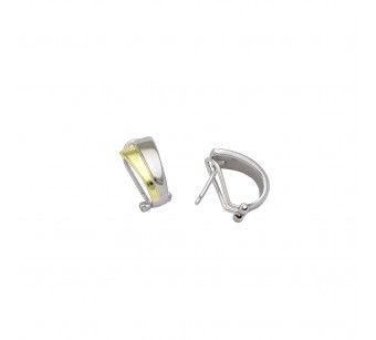 Two-Tone Earrings