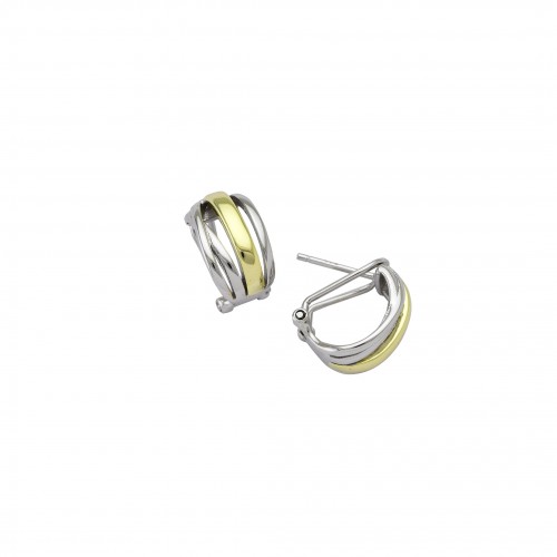 Two-Tone Earrings