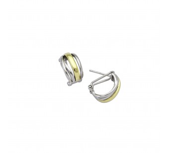 Two-Tone Earrings