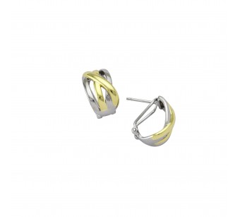 Two-Tone Earrings