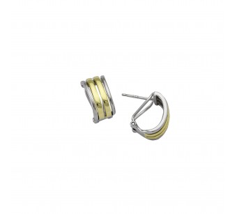 Two-Tone Earrings