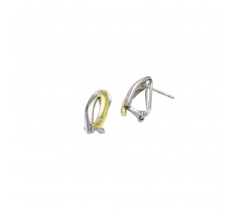 Two-Tone Earrings