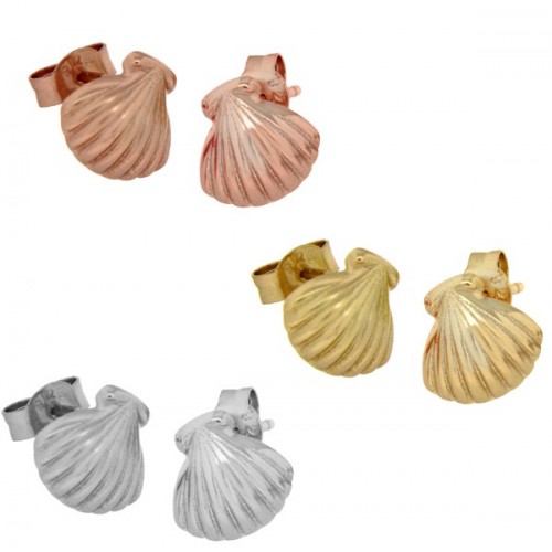 Shell earrings