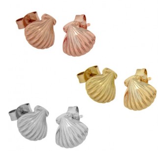 Shell earrings