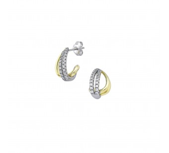 Two-Tone Earrings