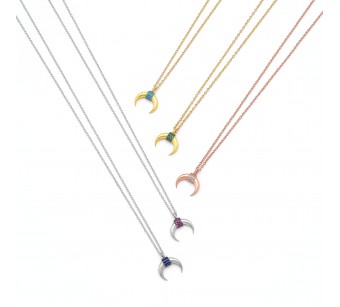 Horn Necklace