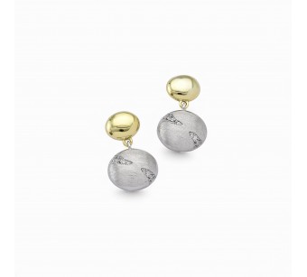 Two-Tone Earrings
