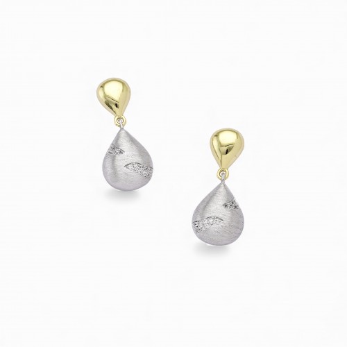 Two-Tone Earrings