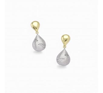 Two-Tone Earrings