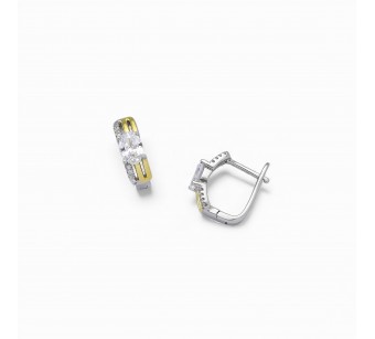 Two-Tone Earrings