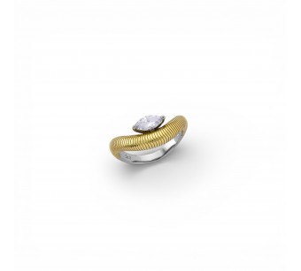 Two-Tone Ring
