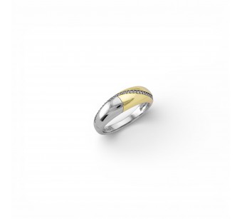 Two-Tone Ring