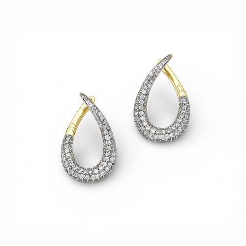 Two-Tone Earrings
