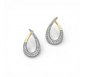 Two-Tone Earrings