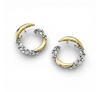 Two-Tone Earrings