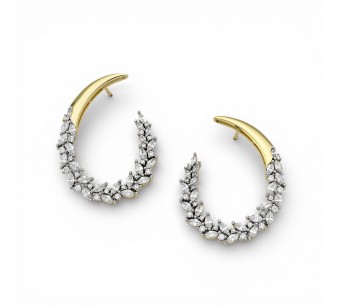Two-Tone Earrings