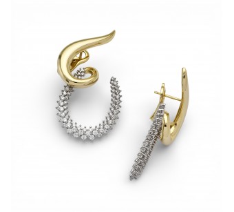 Two-Tone Earrings
