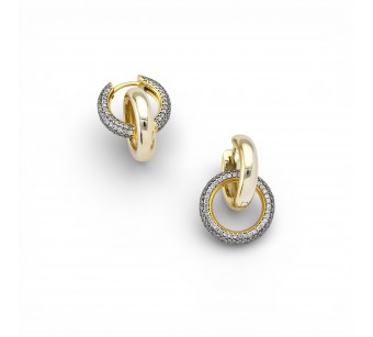 Two-Tone Earrings