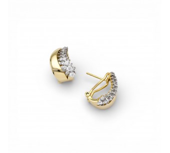 Two-Tone Earrings