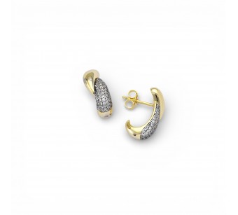 Two-Tone Earrings