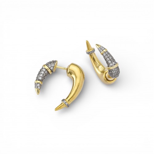 Two-Tone Earrings