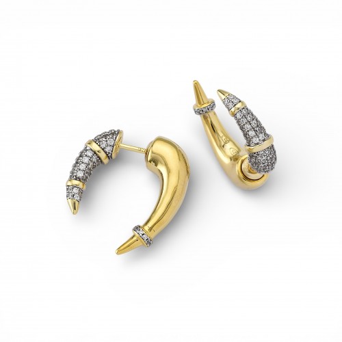 Two-Tone Earrings