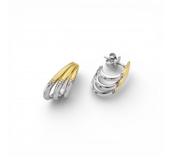 Two-Tone Earrings