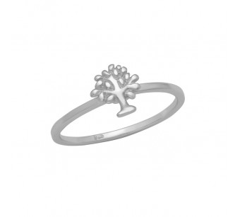 Silver ring