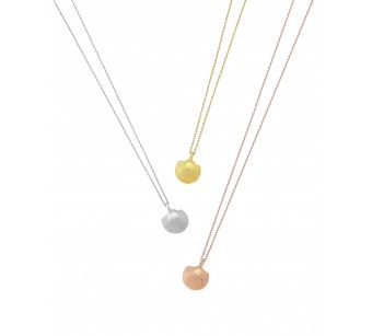 Clam shell necklace