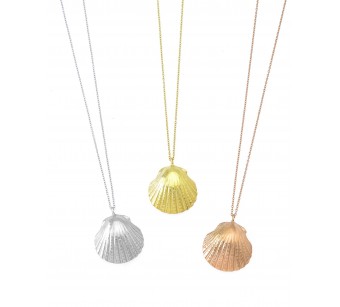 Clam shell necklace