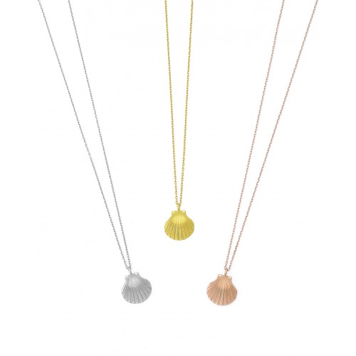 Clam shell necklace