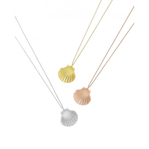 Clam shell necklace