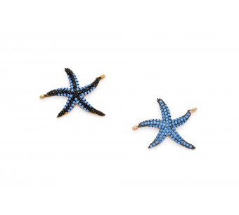 Starfish finding