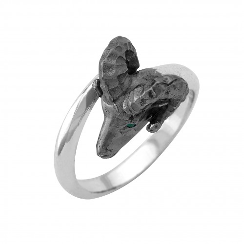 Ramhead ring