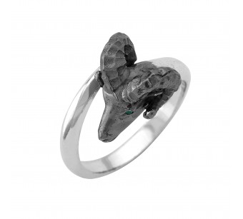 Ramhead ring