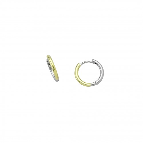 Two-Tone Hoop Earrings
