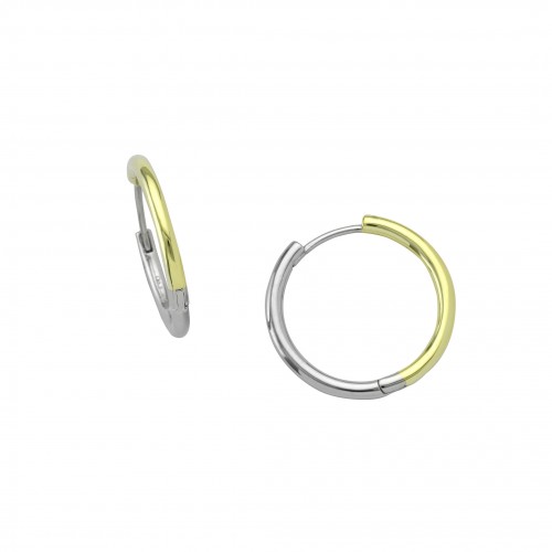 copy of Two-Tone Hoop Earrings