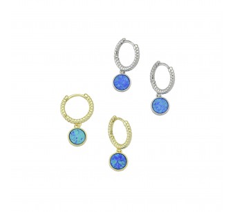 Round Disk Earrings